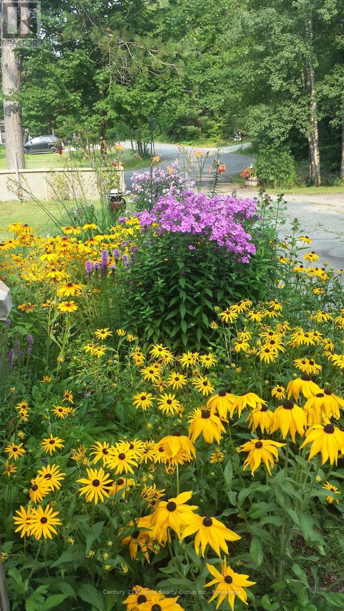 1046 Lutterworth Pines Road, Minden Hills, Ontario  K0M 2K0 - Photo 19 - X12475906