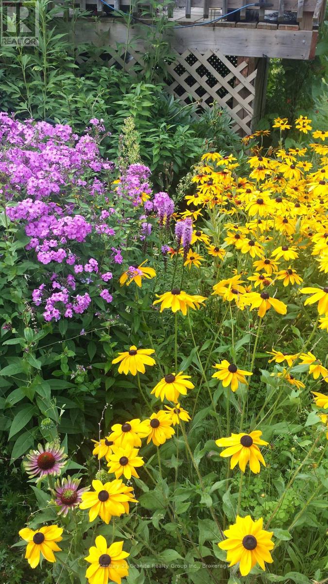 1046 Lutterworth Pines Road, Minden Hills, Ontario  K0M 2K0 - Photo 20 - X12475906