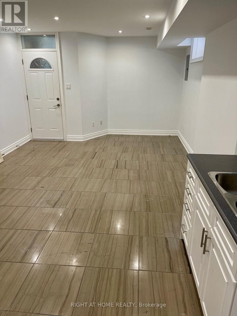 Basement - 76 Oxford Street, Toronto, Ontario  M5T 1P1 - Photo 5 - C12499498