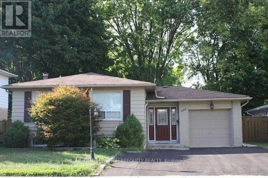 BASEMENT - 323 TOWERCREST DRIVE, Newmarket, Ontario