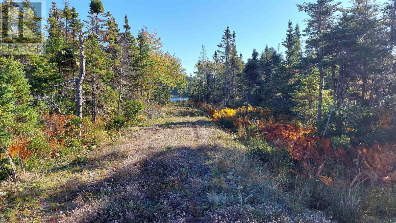 Eric Lane, Hay Cove, Nova Scotia  B0E 3B0 - Photo 36 - 202504566