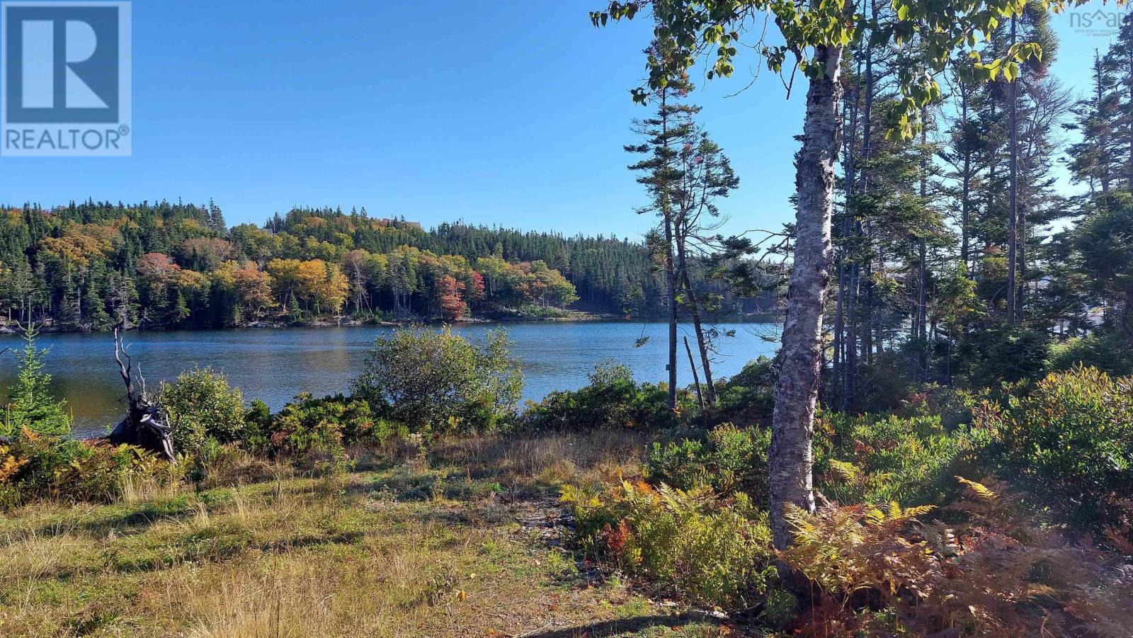 Eric Lane, Hay Cove, Nova Scotia  B0E 3B0 - Photo 37 - 202504566
