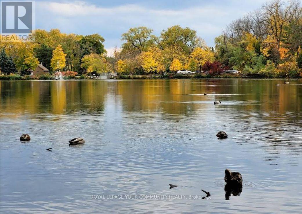 Basement - 19 Tannery Court, Richmond Hill, Ontario  L4C 7V5 - Photo 18 - N12406930