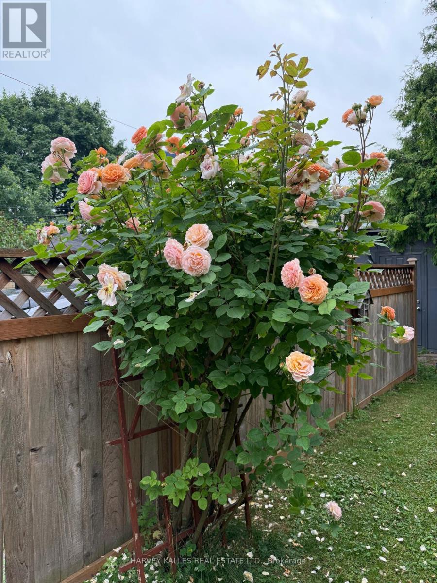 338 Bartlett Avenue N, Toronto, Ontario  M6H 3G7 - Photo 38 - W12499590