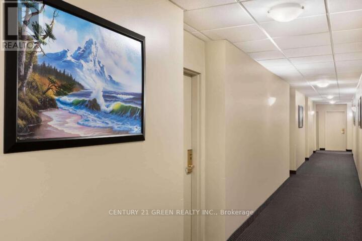 210 Main Street E, Hamilton, Ontario  L8N 1H3 - Photo 10 - X12499566