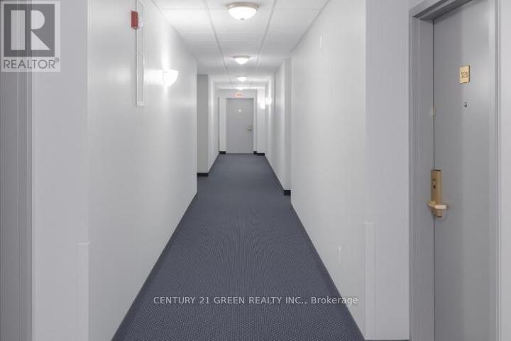 210 Main Street E, Hamilton, Ontario  L8N 1H3 - Photo 9 - X12499566