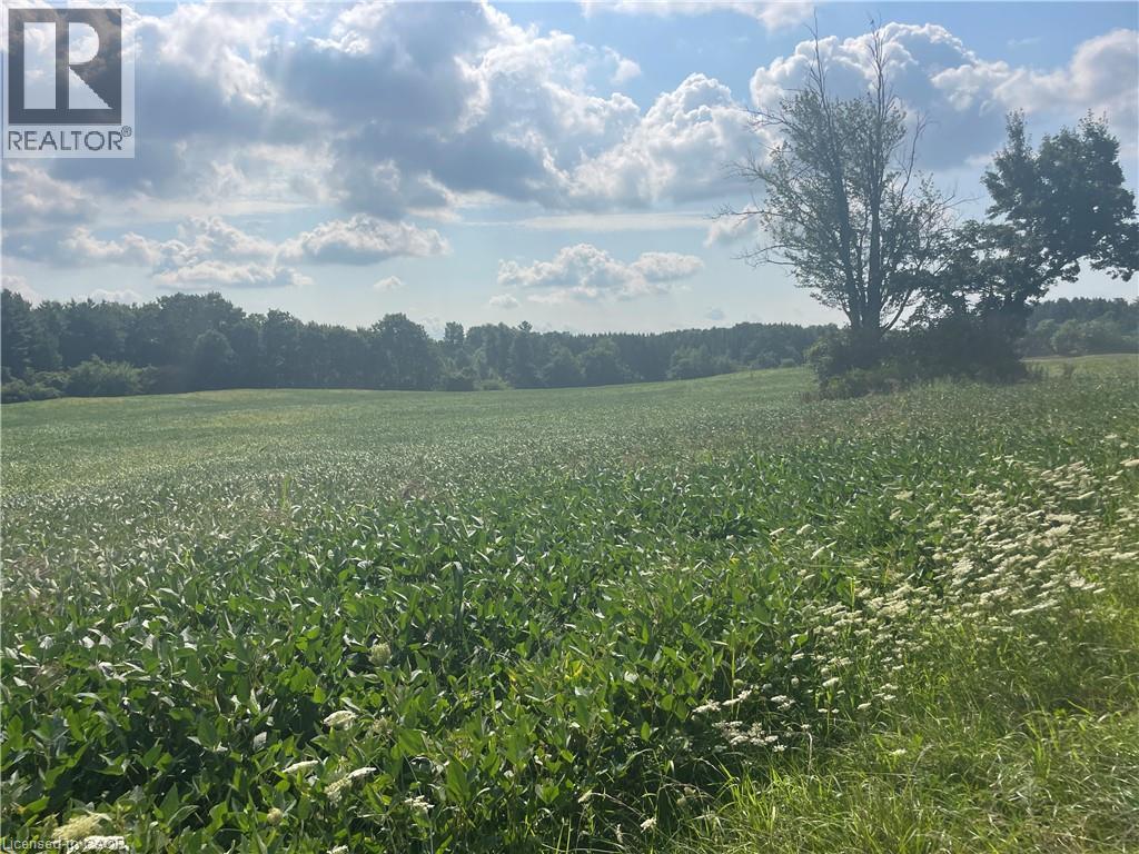 867262 Township Road Unit# 10, Blandford-Blenheim, Ontario  N0J 1B0 - Photo 9 - 40762132