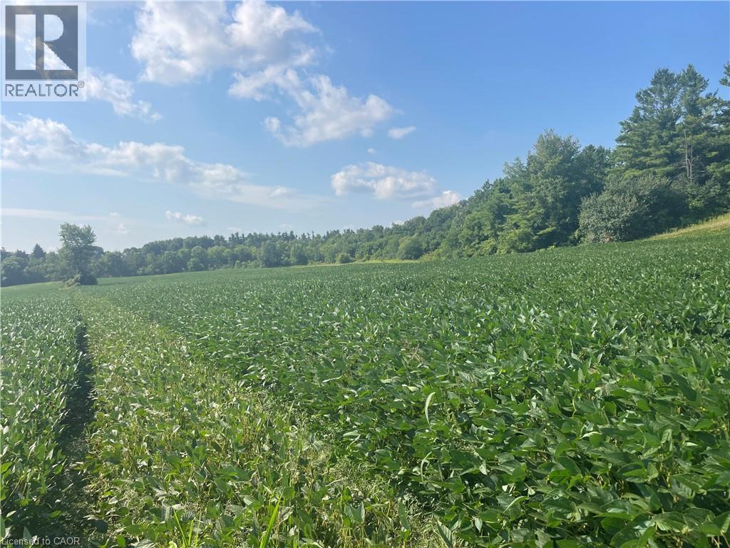 867262 Township Road Unit# 10, Blandford-Blenheim, Ontario  N0J 1B0 - Photo 10 - 40762132