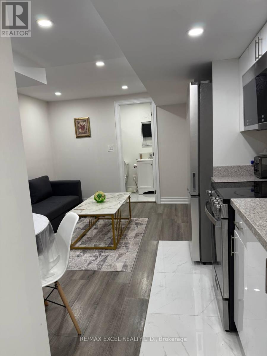 Basement - 106 Stephenson Crescent, Richmond Hill, Ontario  L4C 5W1 - Photo 3 - N12499716