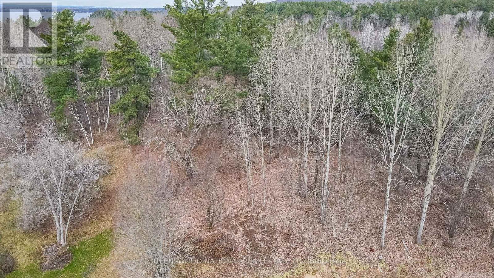 12894 Highway 60 Route, North Algona Wilberforce, Ontario  K0J 1X0 - Photo 10 - X12499730