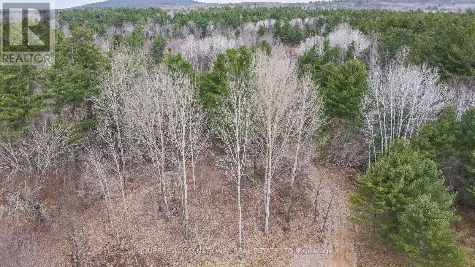 12894 Highway 60 Route, North Algona Wilberforce, Ontario  K0J 1X0 - Photo 11 - X12499730