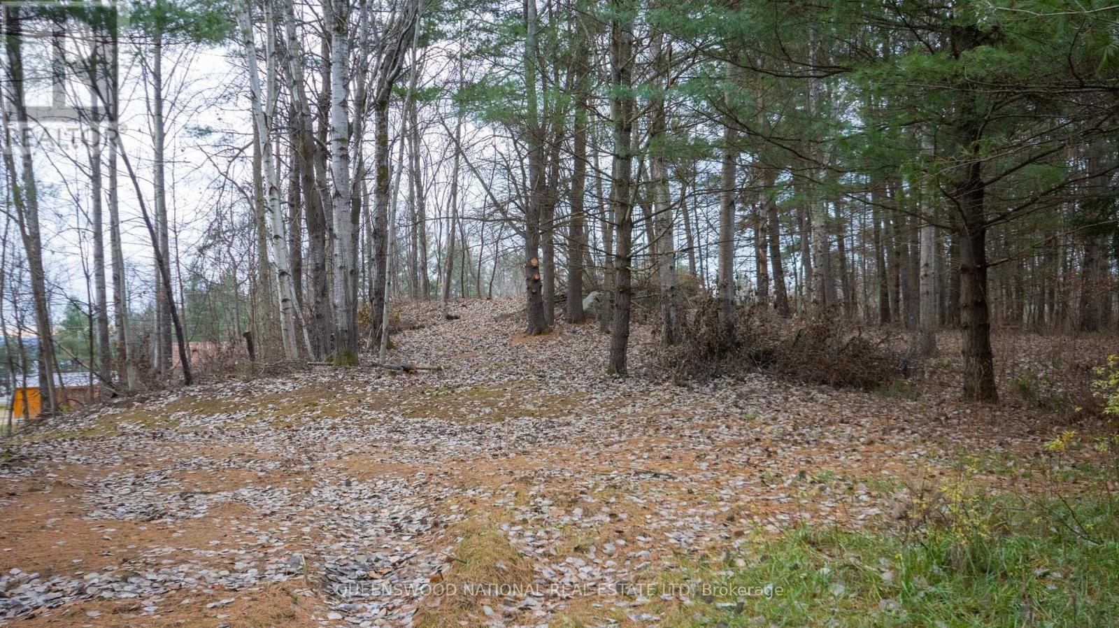 12894 Highway 60 Route, North Algona Wilberforce, Ontario  K0J 1X0 - Photo 7 - X12499730