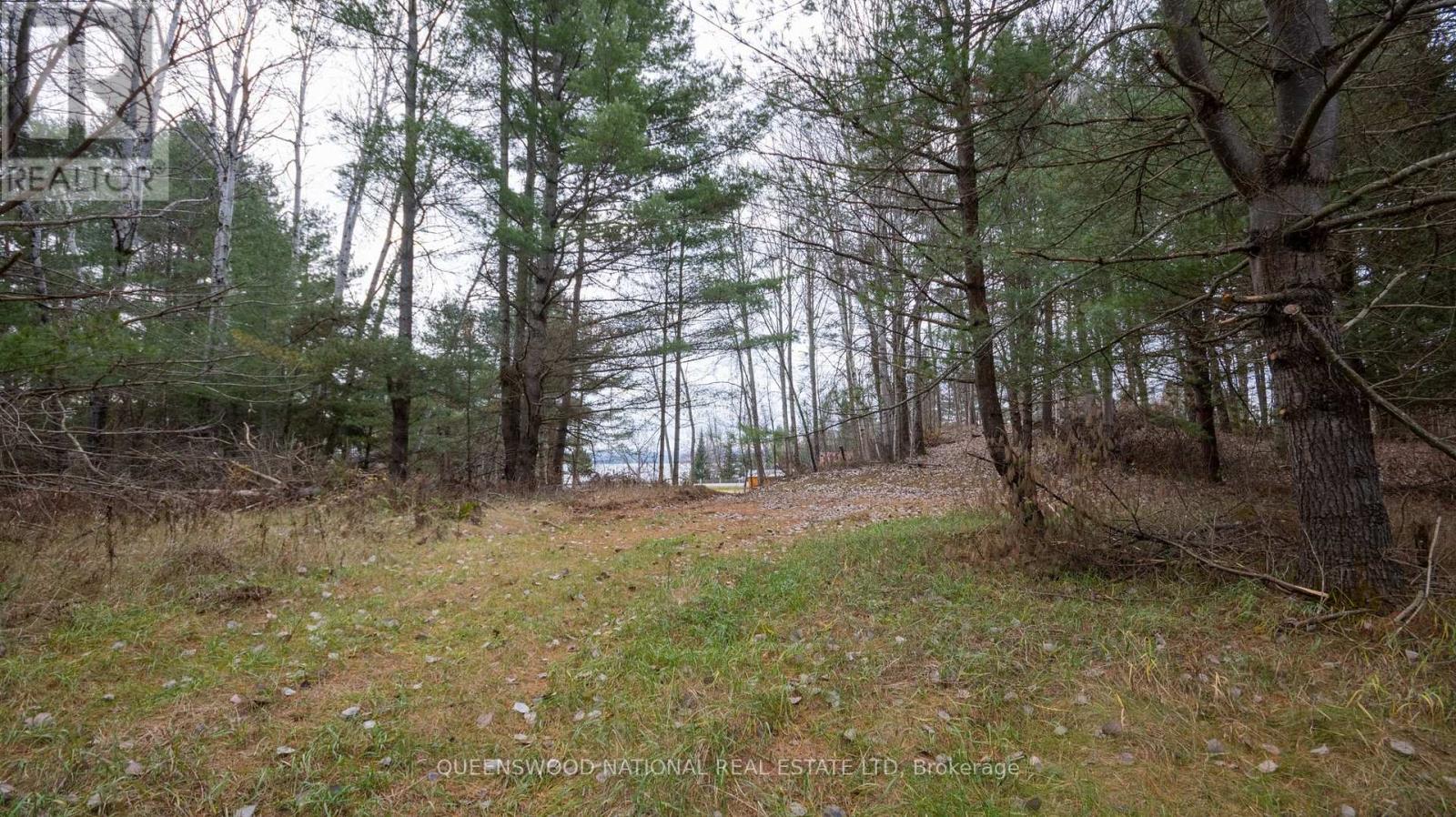 12894 Highway 60 Route, North Algona Wilberforce, Ontario  K0J 1X0 - Photo 8 - X12499730