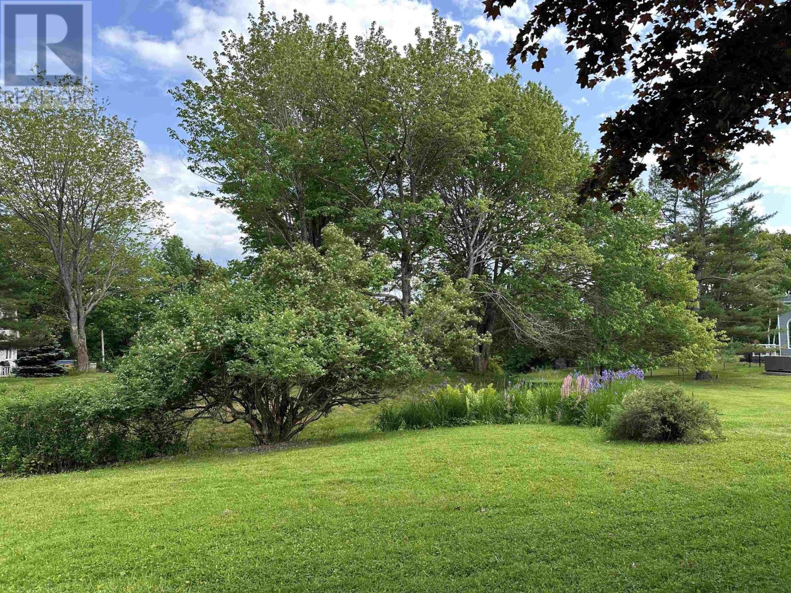 260 Linden Avenue, New Glasgow, Nova Scotia  B2H 2A7 - Photo 6 - 202517285