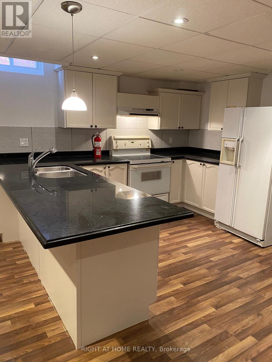 Basement - 198 Novaview Crescent, Vaughan, Ontario  L4L 9L8 - Photo 15 - N12499794