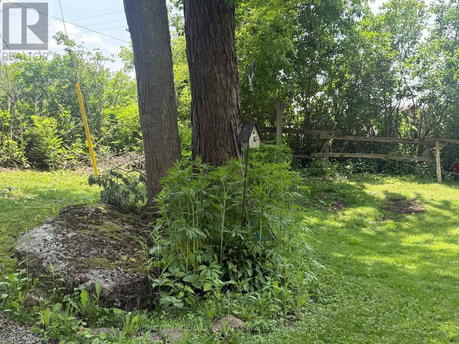 5 Government Dock Road, Kawartha Lakes (Laxton/digby/longford), Ontario  K0M 2L0 - Photo 15 - X12499764