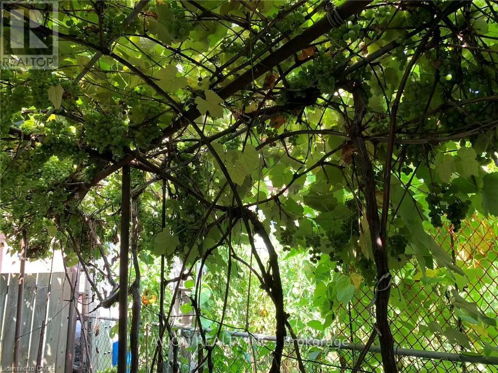 2 - 26 Barton Street W, Hamilton, Ontario  L8L 1A1 - Photo 42 - X12499774