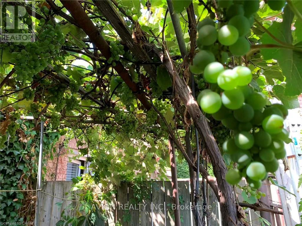 2 - 26 Barton Street W, Hamilton, Ontario  L8L 1A1 - Photo 43 - X12499774