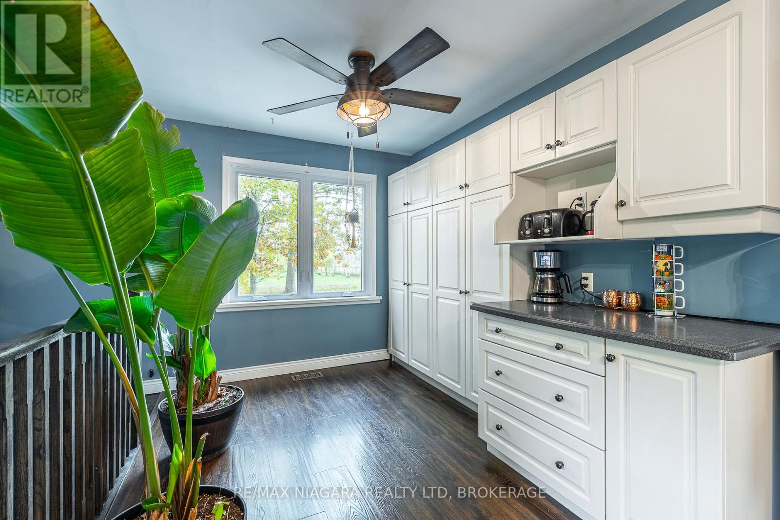 22009 Side Road 20, Wainfleet (Marshville/winger), Ontario  L0S 1V0 - Photo 10 - X12499862