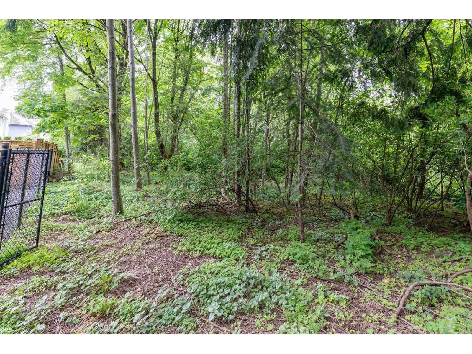 3428 150b Street, Surrey, British Columbia  V3Z 0Z3 - Photo 39 - R3063551