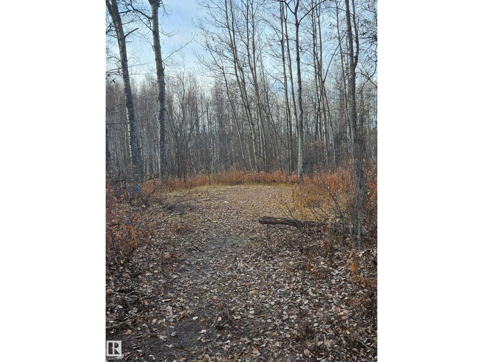 55232 Range Road 34a, Rural Lac Ste. Anne County, Alberta  T0E 1A0 - Photo 8 - E4464230