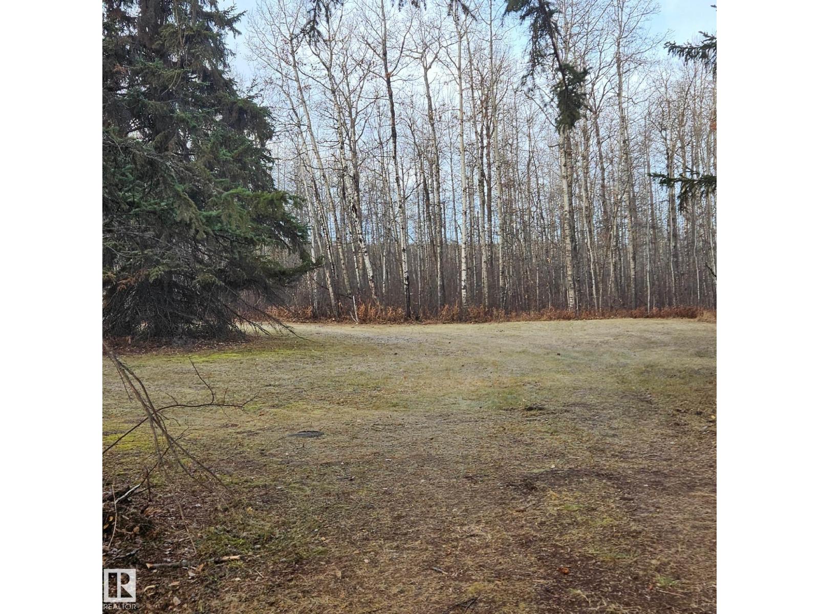 55232 Range Road 34a, Rural Lac Ste. Anne County, Alberta  T0E 1A0 - Photo 5 - E4464230
