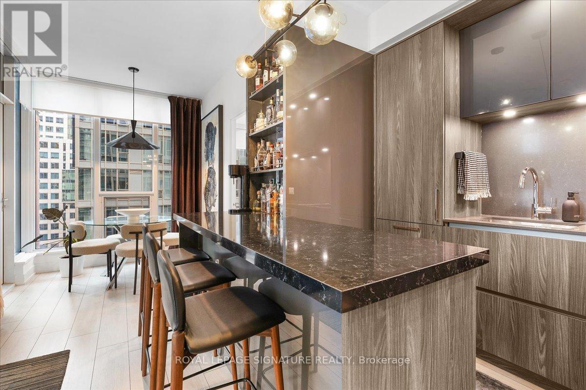 1514 - 35 Mercer Street, Toronto, Ontario  M5V 0V1 - Photo 2 - C12499896