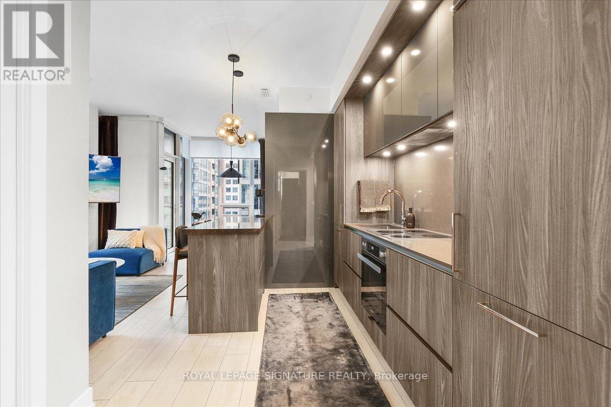 1514 - 35 Mercer Street, Toronto, Ontario  M5V 0V1 - Photo 3 - C12499896