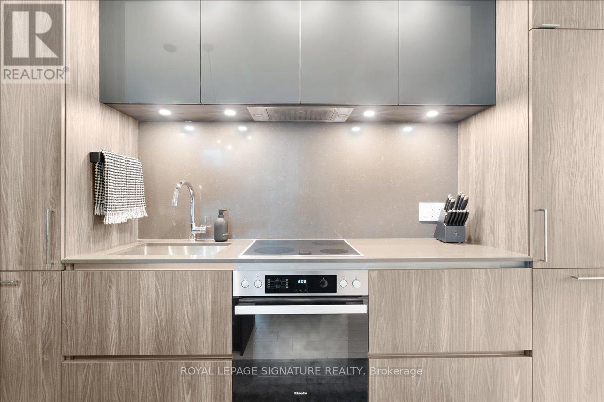 1514 - 35 Mercer Street, Toronto, Ontario  M5V 0V1 - Photo 6 - C12499896