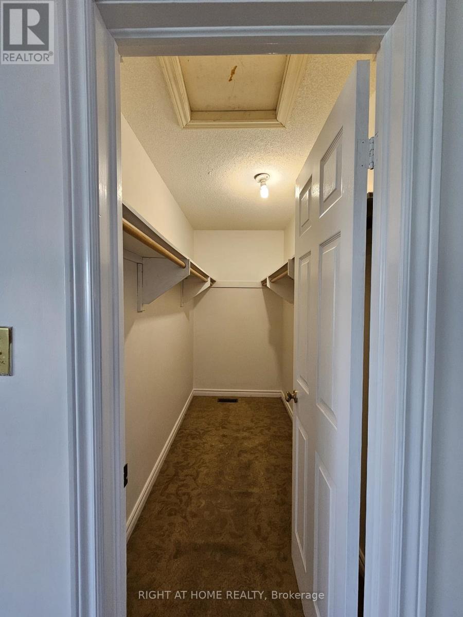 Upper Portion - 5191 Guildwood Way, Mississauga, Ontario  L5R 2T4 - Photo 21 - W12499346