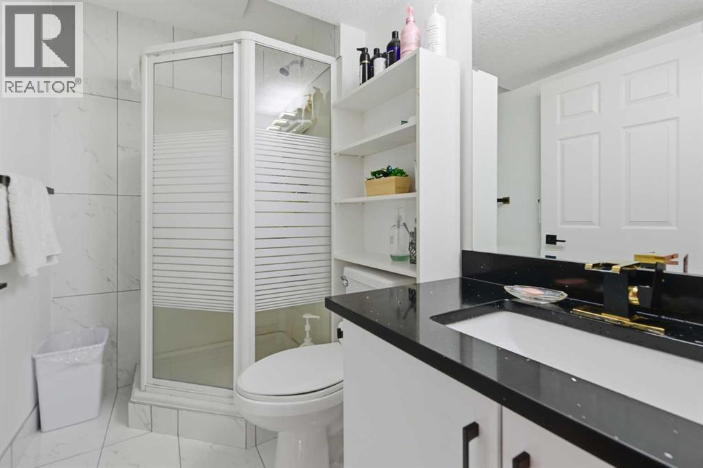 53 Martha's Place Ne, Calgary, Alberta  T3J 4P4 - Photo 23 - A2266817