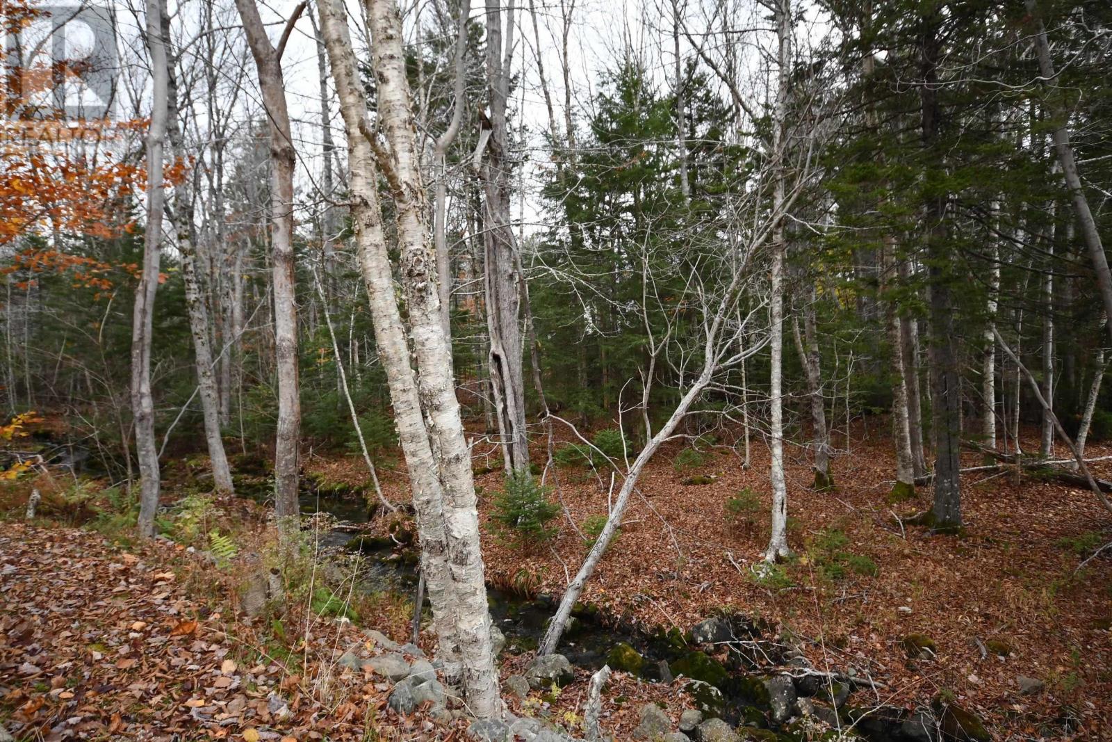 180 Lakeview Avenue, Middle Sackville, Nova Scotia  B4E 3B5 - Photo 40 - 202526877