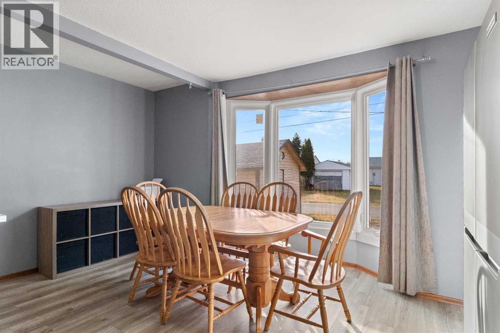 4847 52 Street, Eckville, Alberta  T0M 0X0 - Photo 7 - A2268245