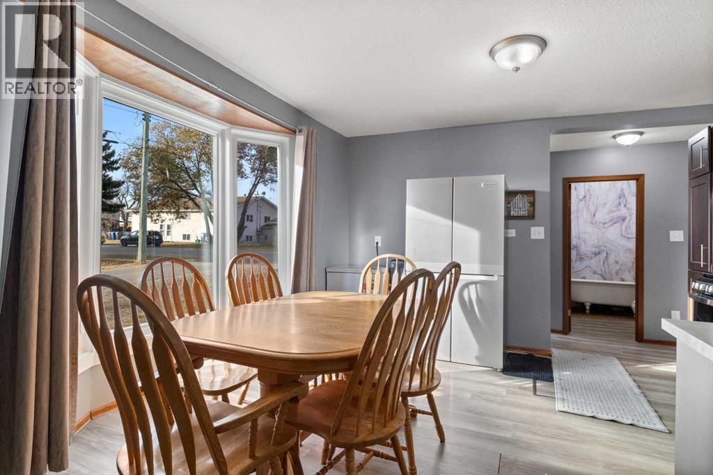 4847 52 Street, Eckville, Alberta  T0M 0X0 - Photo 6 - A2268245