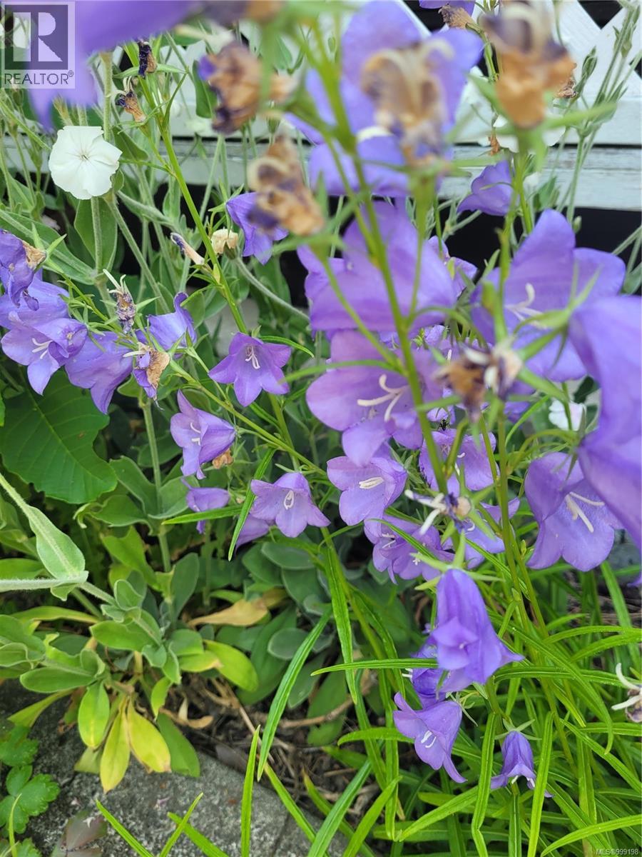 1393 Nelson Rd, Cowichan Bay, British Columbia  V0R 1N2 - Photo 48 - 999198