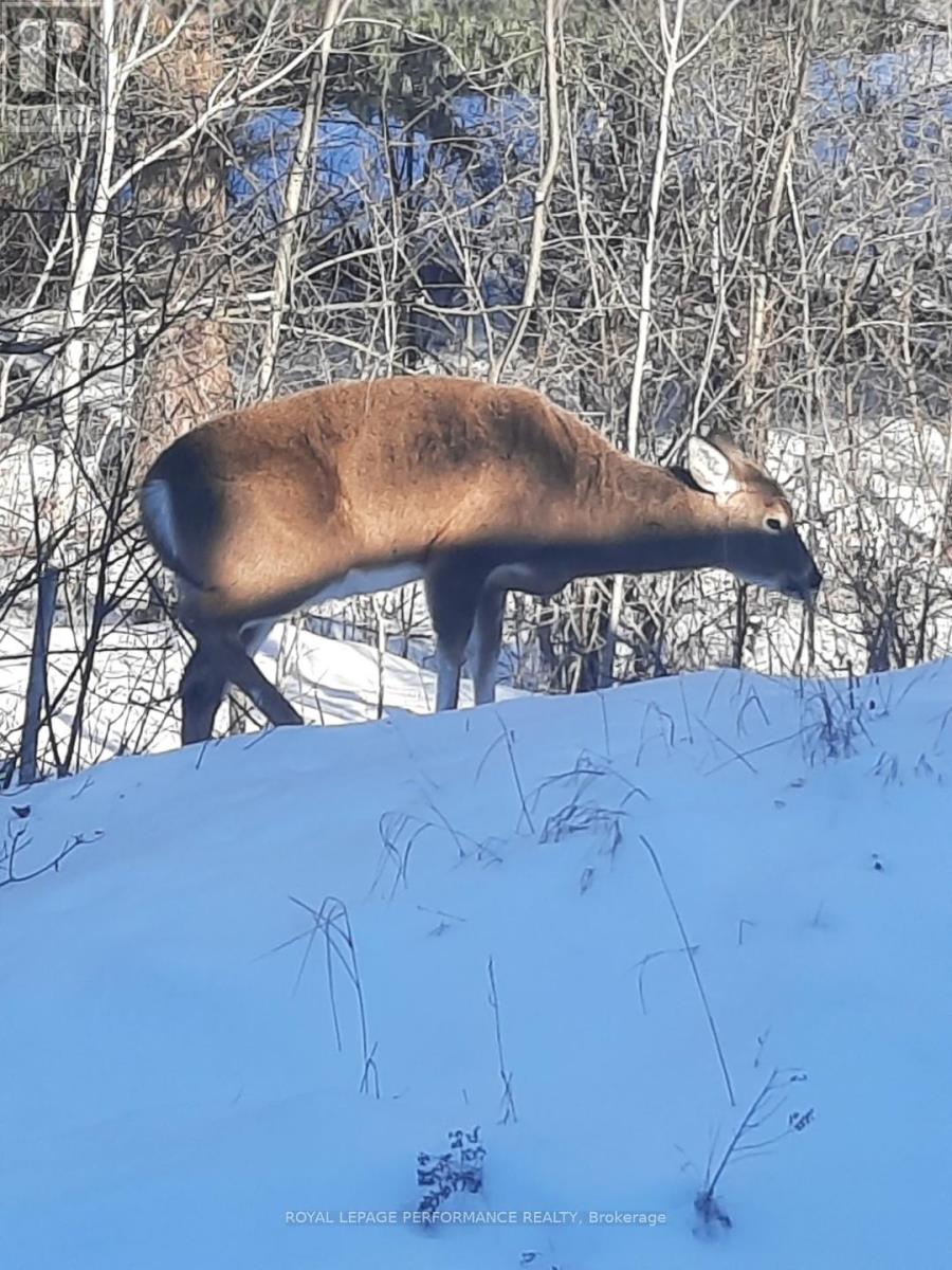 2620 Marchurst Road, Ottawa, Ontario  K0A 1T0 - Photo 10 - X12386942