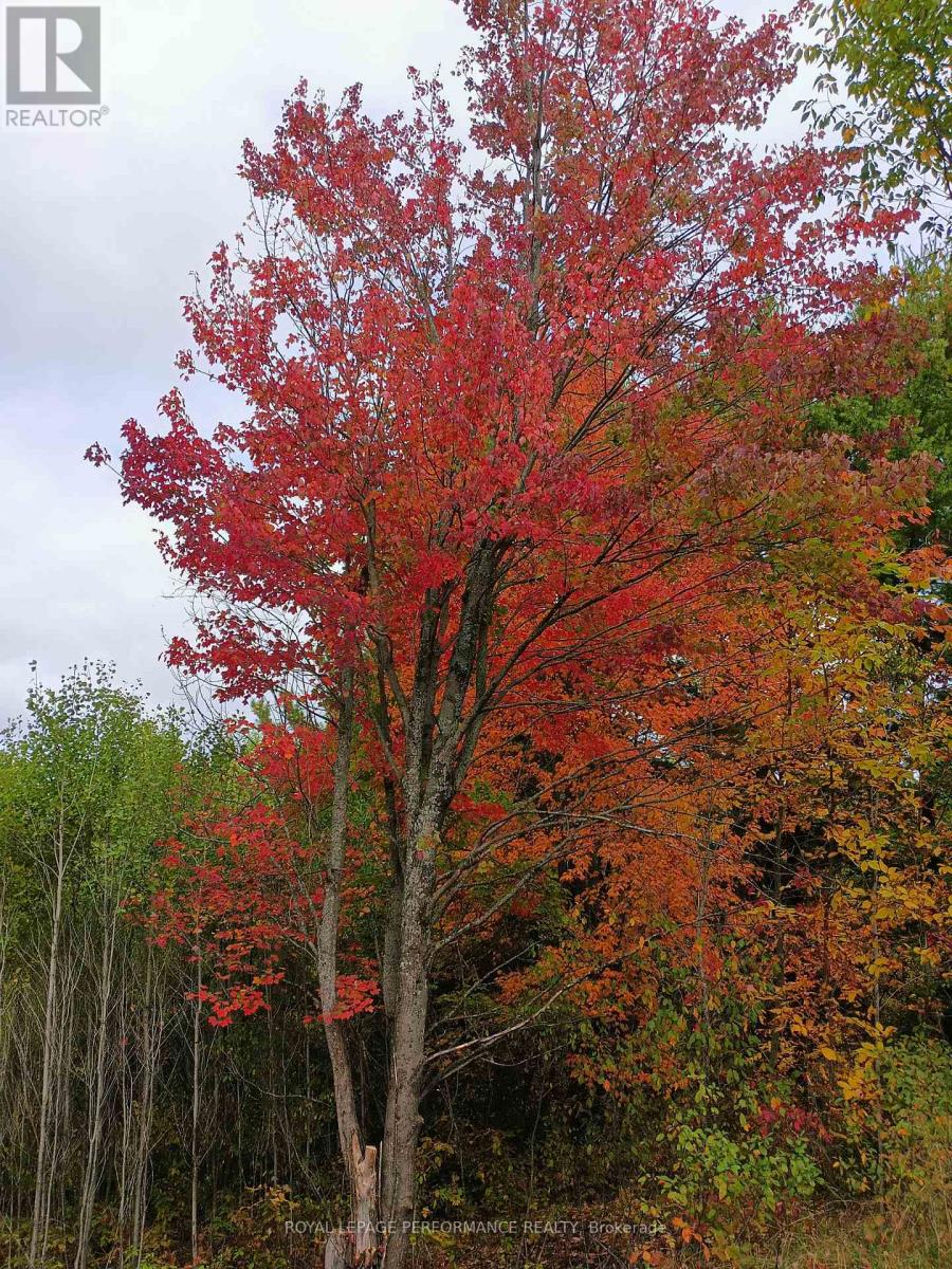 2620 Marchurst Road, Ottawa, Ontario  K0A 1T0 - Photo 20 - X12386942