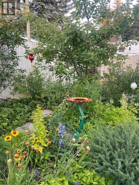 224 Cedarbrae Crescent Sw, Calgary, Alberta  T2W 1Y4 - Photo 47 - A2260385