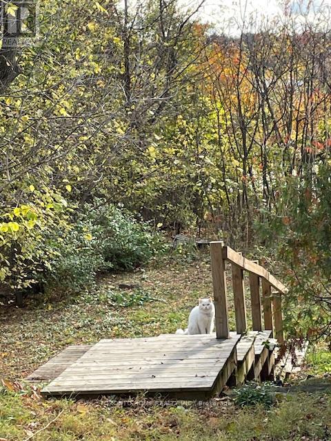 33 Olmstead Street, Hamilton, Ontario  L8S 1N3 - Photo 6 - X12489488