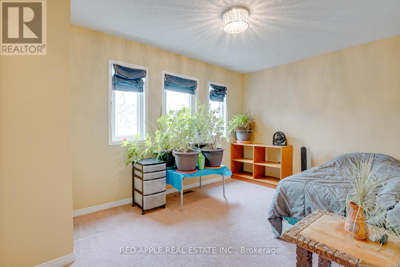 60 Snedden Avenue, Aurora, Ontario  L4G 7K6 - Photo 23 - N12500374