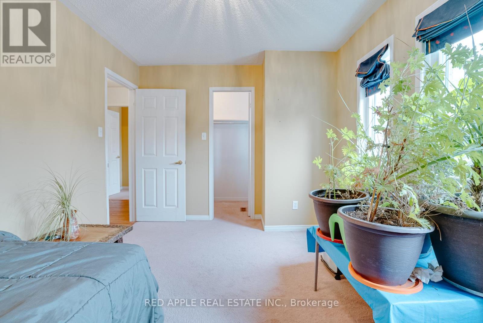 60 Snedden Avenue, Aurora, Ontario  L4G 7K6 - Photo 24 - N12500374