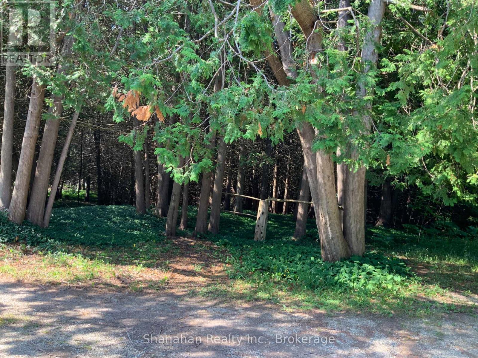 17 Little Cove Road S, Northern Bruce Peninsula, Ontario  N0H 2R0 - Photo 11 - X11939541