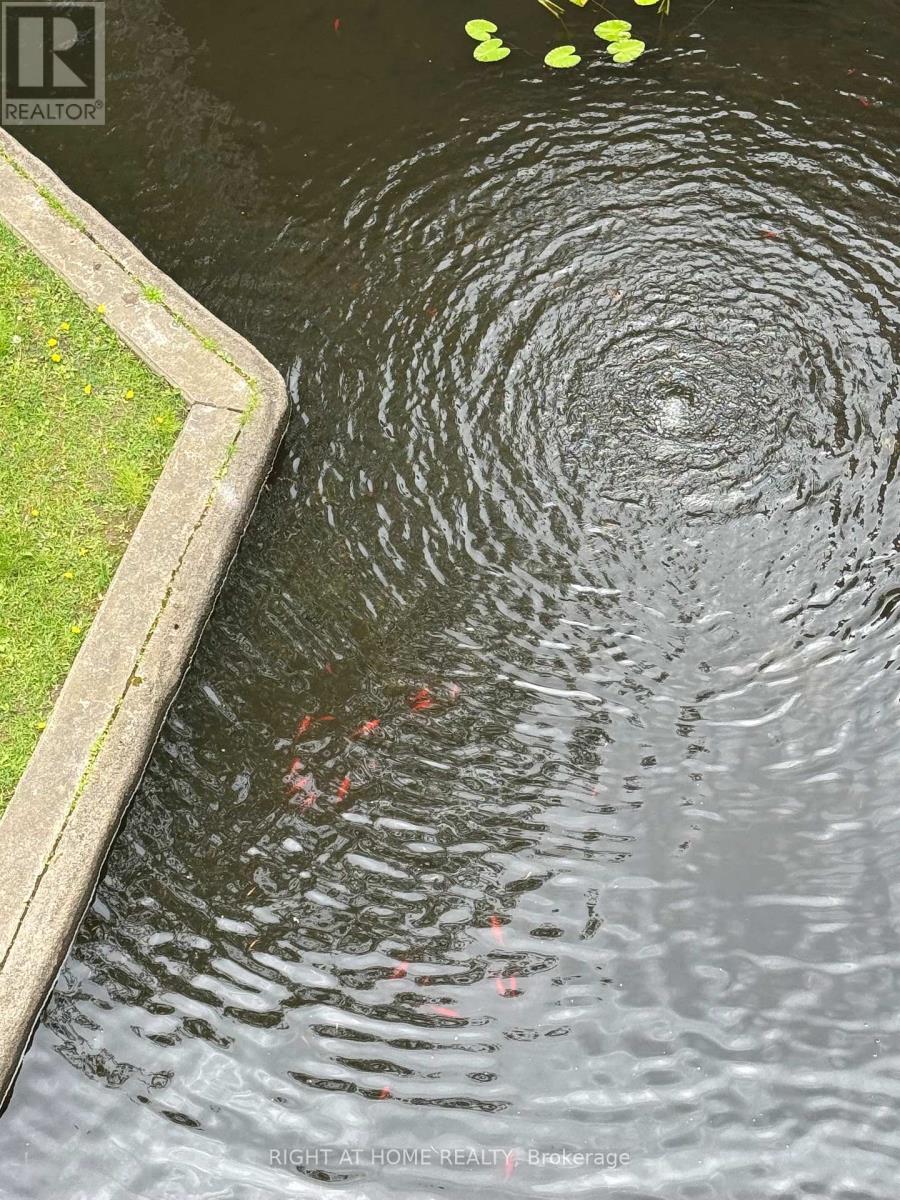 318 - 40 Sylvan Valley Way, Toronto, Ontario  M5M 4M3 - Photo 3 - C12500404