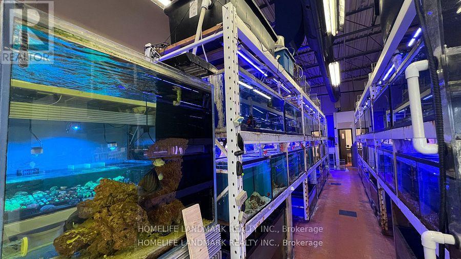 E11 - 888 Dundas Street E, Mississauga, Ontario  L4Y 4G6 - Photo 5 - W12500432