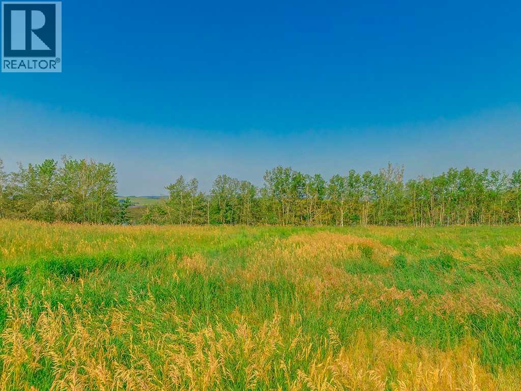 Lot 3, 96039 198 Avenue W, Rural Foothills County, Alberta  T1S 2W6 - Photo 25 - A2266838