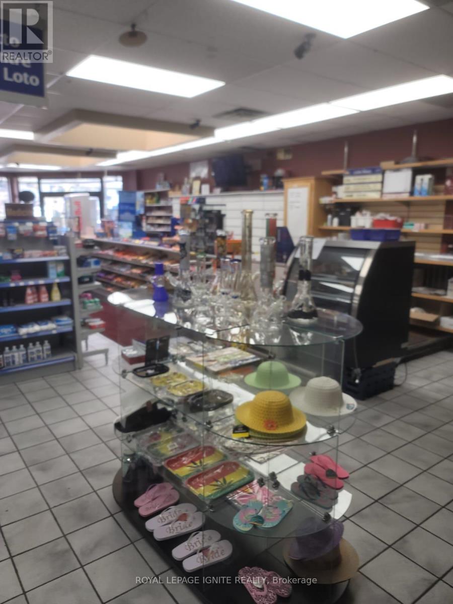 347 Erb Street W, Waterloo, Ontario  N2L 1W4 - Photo 11 - X12500618