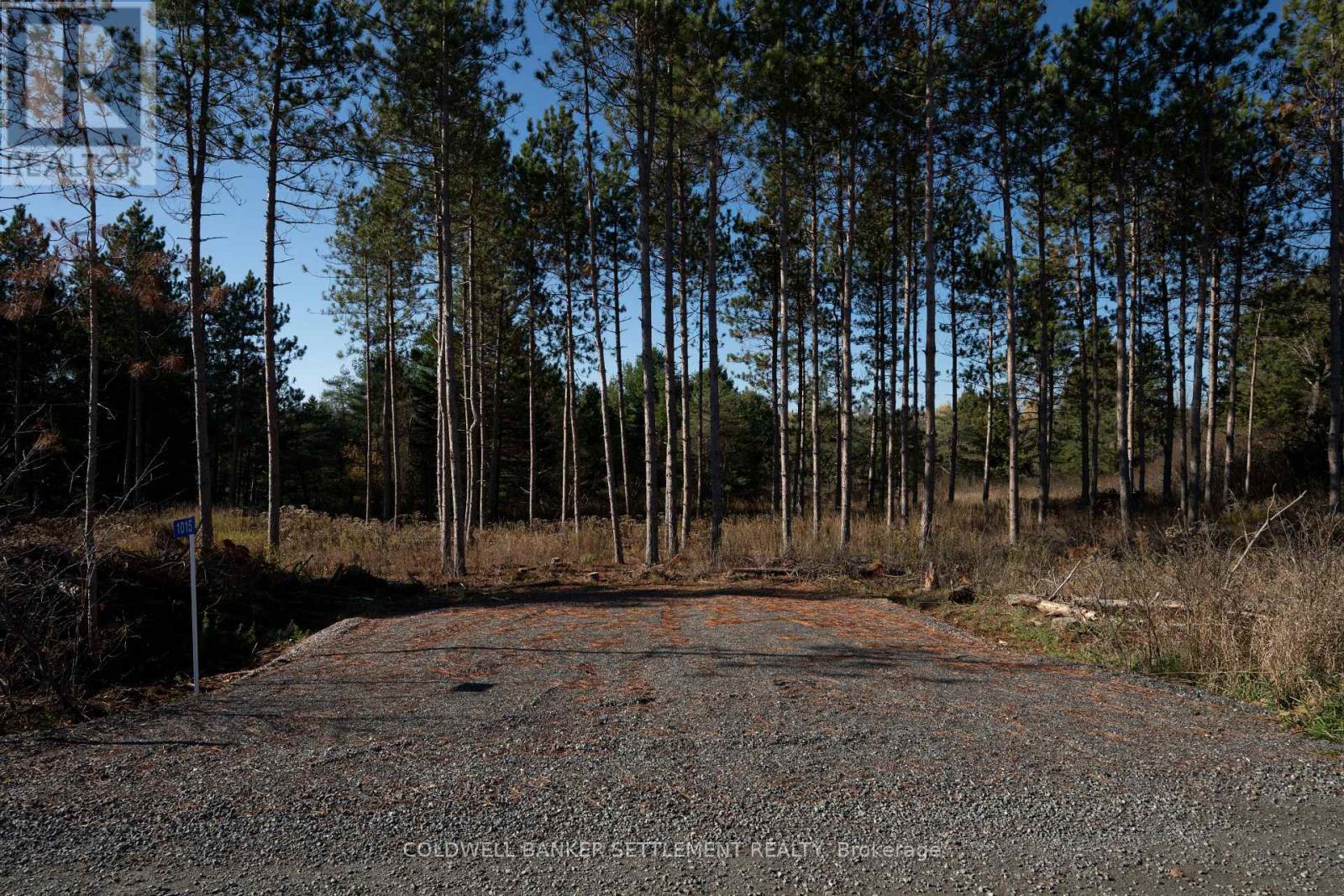 1015 Concession 5a Road, Lanark Highlands, Ontario K0G 1K0 - Photo 3 - X12500698