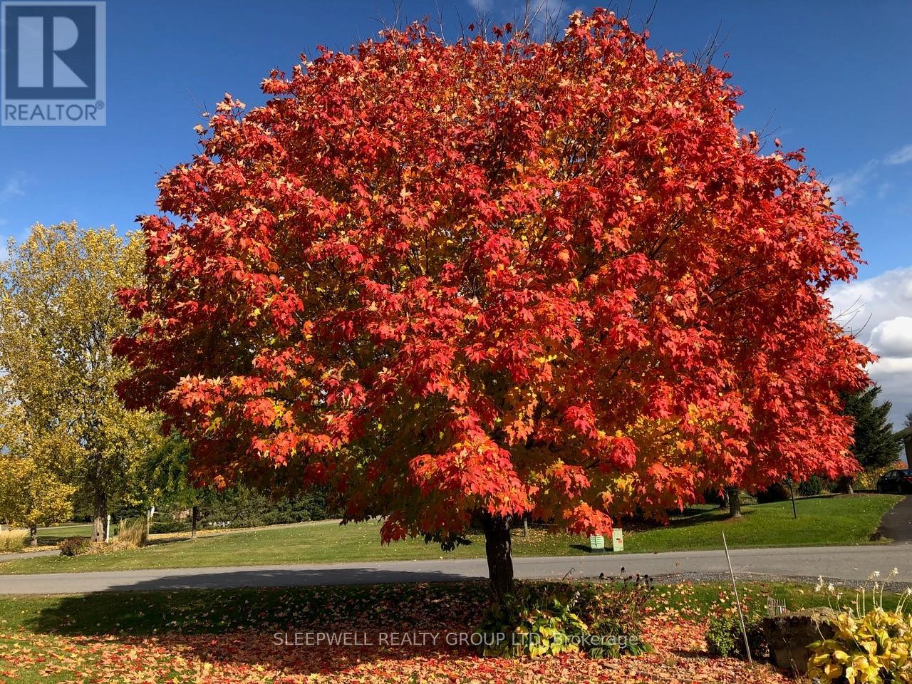 1040 Misty Morning Lane, Ottawa, Ontario  K4P 1P8 - Photo 28 - X12500758