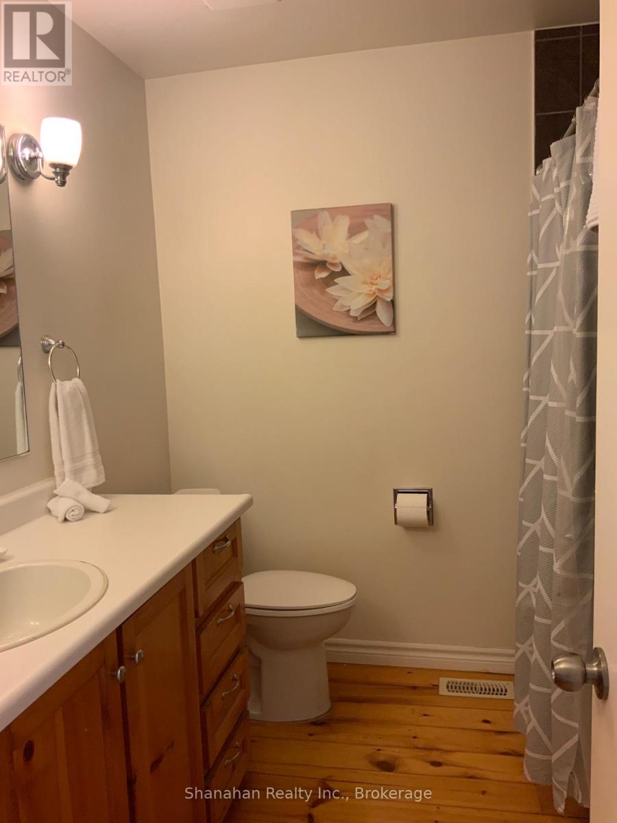 20 Cape Hurd Road E, Northern Bruce Peninsula, Ontario  N0H 2R0 - Photo 38 - X12500826