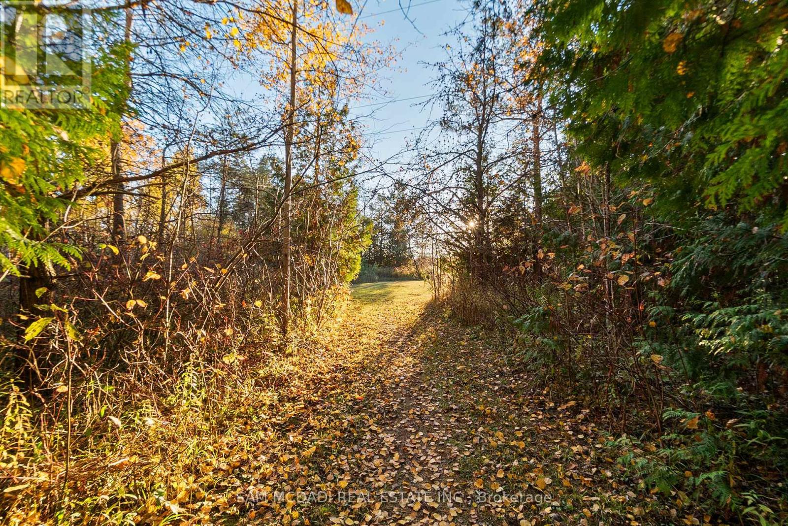 2993 Innisfil Beach Road, Innisfil, Ontario  L9S 4C3 - Photo 43 - N12500820